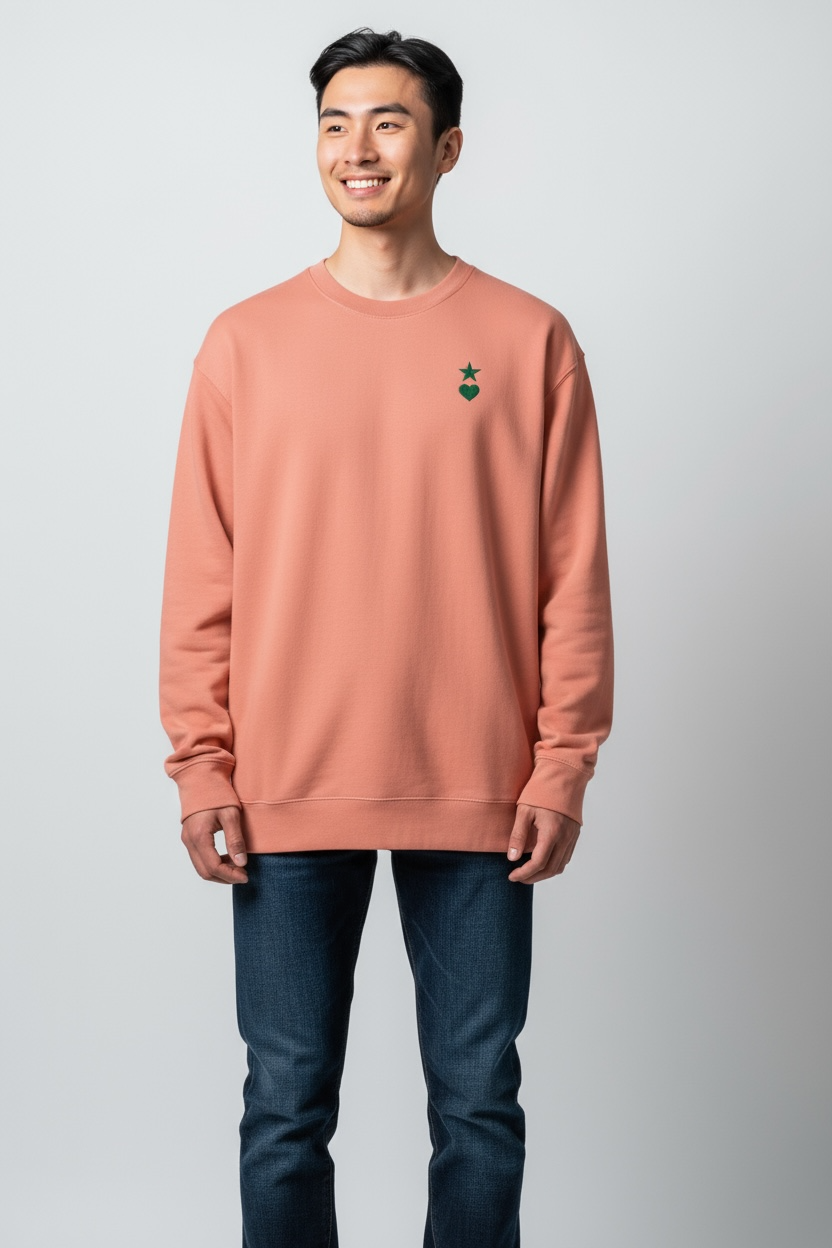 AUNO Dust Rose Premium Mens Sweatshirt - AUNO